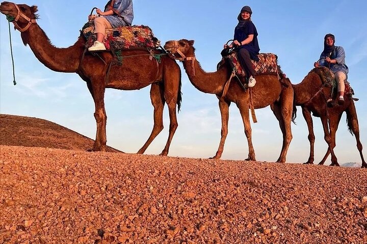 Agafay Desert Camel Ride Tour